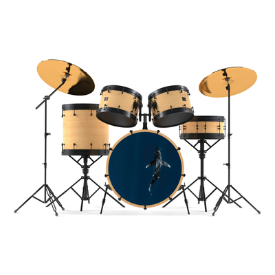 Bassdrumfell-Aufkleber mit Shark-Design - DER BANDMARKT
