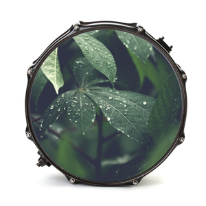 Bassdrumfell-Aufkleber mit Nature-Design - DER BANDMARKT