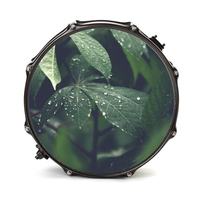 Bassdrumfell-Aufkleber mit Nature-Design - DER BANDMARKT