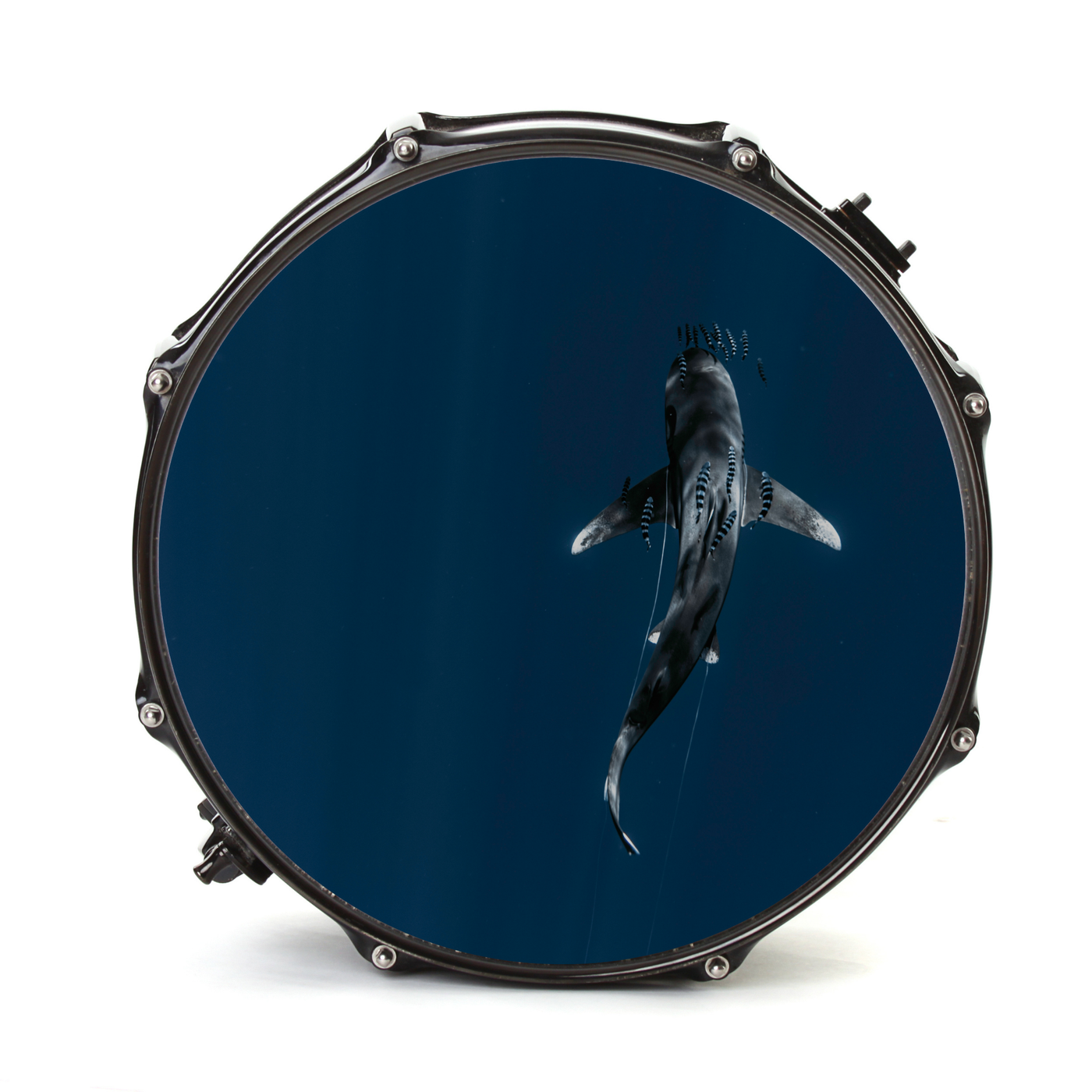 Bassdrumfell-Aufkleber mit Shark-Design - DER BANDMARKT