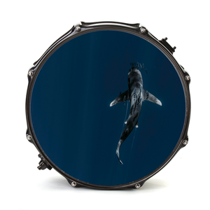 Bassdrumfell-Aufkleber mit Shark-Design - DER BANDMARKT