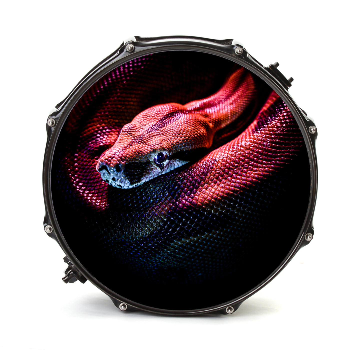 Bassdrumfell-Aufkleber mit Snake-Design - DER BANDMARKT