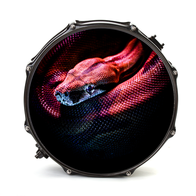 Bassdrumfell-Aufkleber mit Snake-Design - DER BANDMARKT