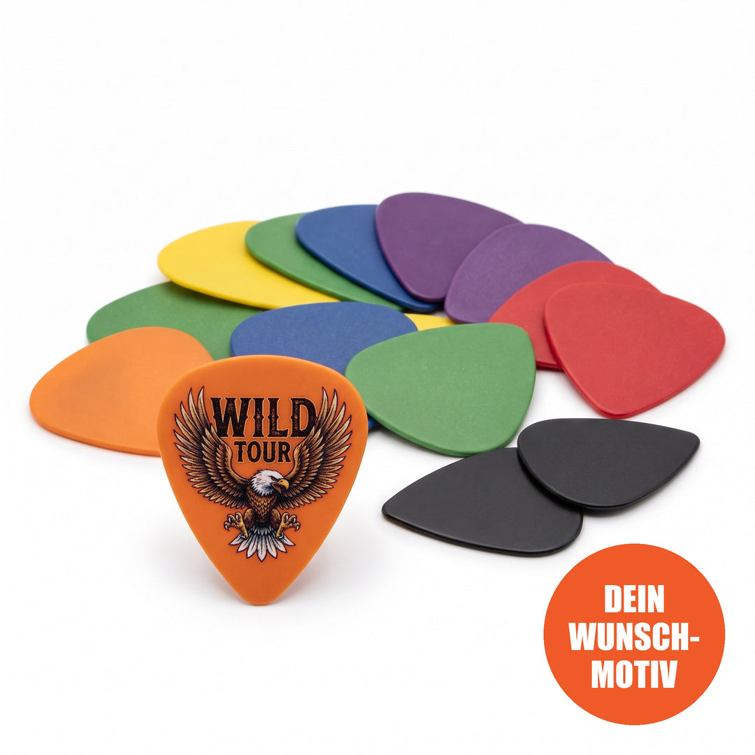 Dunlop-Plektren mit Foto-Druck – Beispieldesign